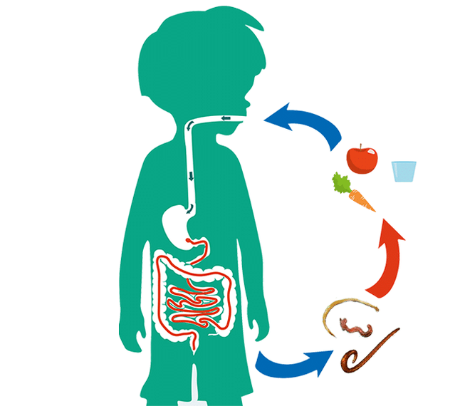 Vías de infección en humanos a través de parasitos