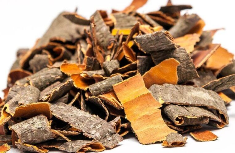 Casca de Aspen contra parasitos