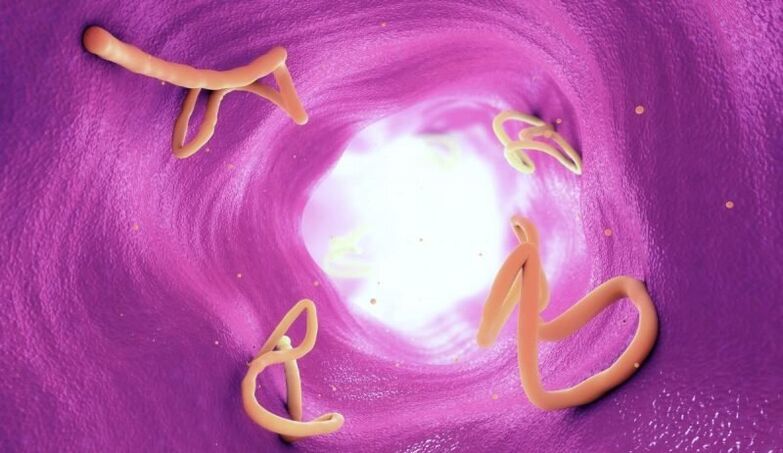Helmintos no intestino humano